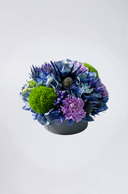 Composition de la saison Bleu