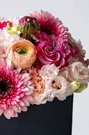 Boîte à Fleurs Rose