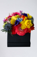 Boîte à Fleurs Colorées