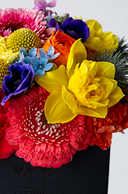 Boîte à Fleurs Colorées