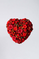 Blossom Heart – Love