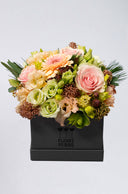 Boîte de Saison Grise