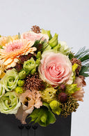 Boîte de Saison Grise