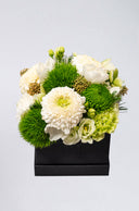 Boîte de Saison Noire