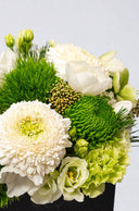 Boîte de Saison Noire