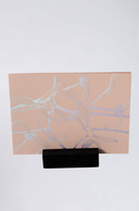 Hieronymus Greeting Card Mistletoe Nude